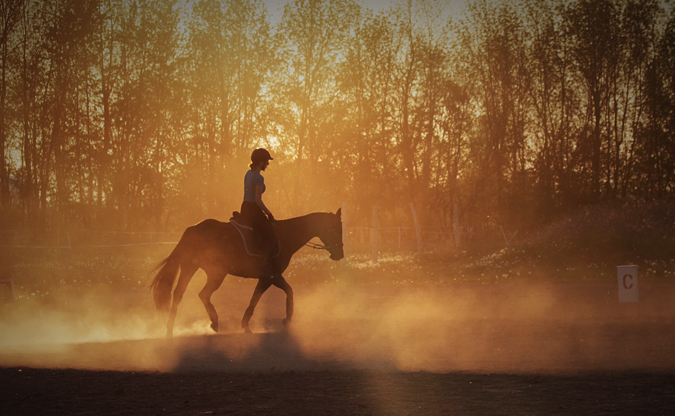 Cheval monté