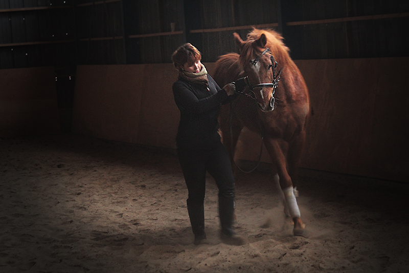 Marie-Hélène Ménard-Laroche, entraineur d'équitation de dressage