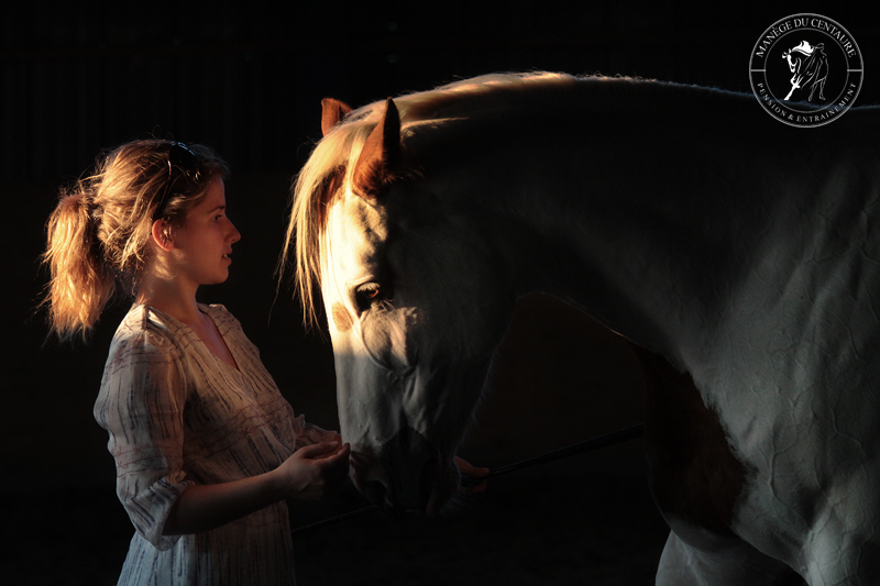 manege du centaure relation cheval