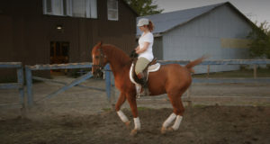 entrainement-cheval-marie-helene-menard-laroche